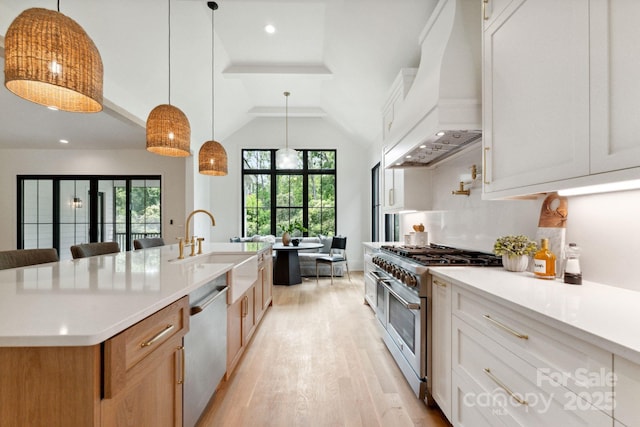 408 Ideal Way, Charlotte, NC 28203 - kitchen featuring stainless steel appliances, custom exhaust hood, light wood finished floors, vaulted ceiling, and light countertops