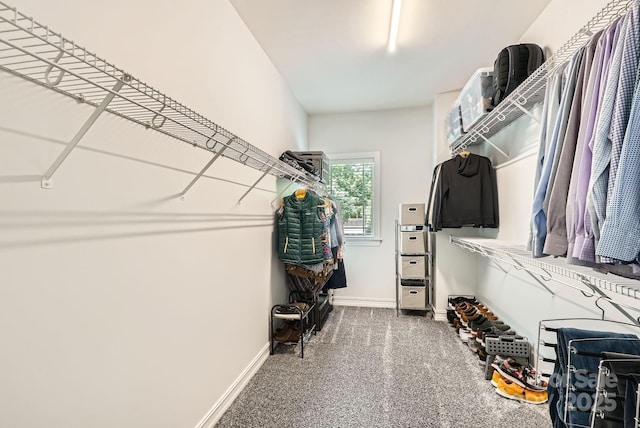 18732 Coachmans Trce, Cornelius, NC 28031 - walk in closet with carpet floors