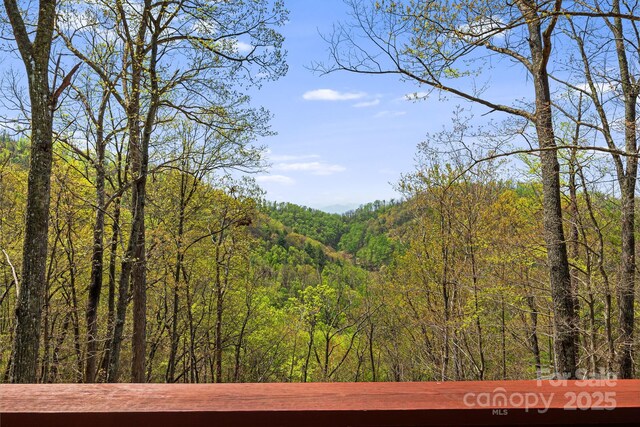 120 Wilderness Dr, Weaverville, NC 28787 - photo 25