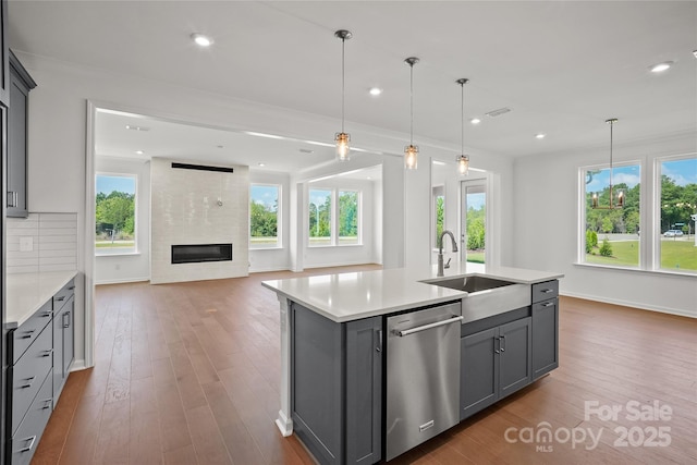 12009 Grinstead Ln Unit 303, Charlotte, NC 28278 - kitchen with stainless steel dishwasher, gray cabinetry, a sink, a fireplace, and plenty of natural light