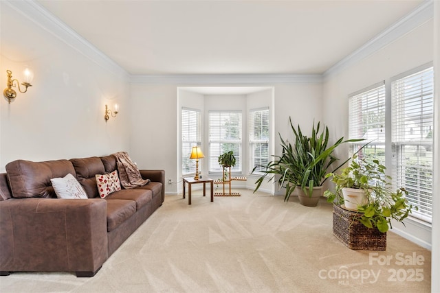 3213 Strawberry Rd, Matthews, NC 28104 - living room with healthy amount of natural light, light carpet, crown molding, and baseboards