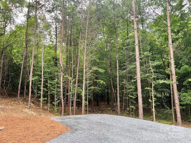 908 Apex Dr, Albemarle, NC 28001 - view of road featuring a forest view