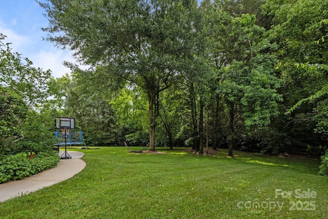 10919 Valley Spring Dr, Charlotte, NC 28277 - photo 42