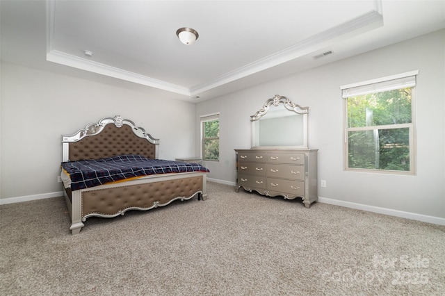 5098 Burnwald Ct, Fort Mill, SC 29715 - bedroom with a raised ceiling, crown molding, and carpet flooring