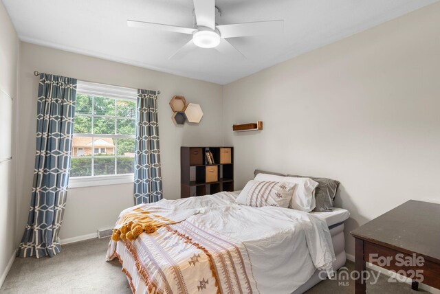 53 Grandview Rd, Asheville, NC 28806 - photo 17