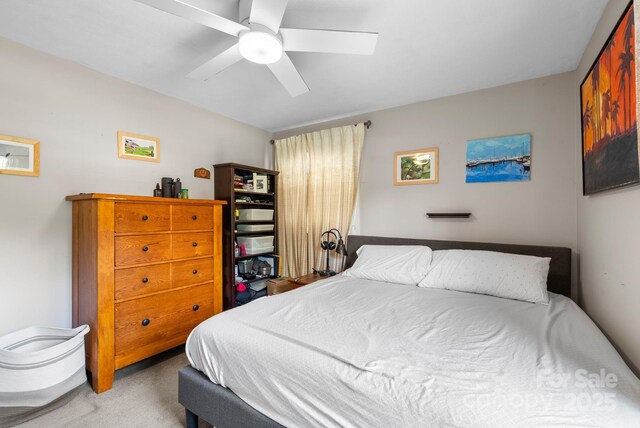 53 Grandview Rd, Asheville, NC 28806 - photo 21