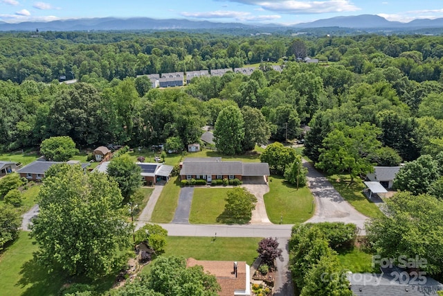 53 Grandview Rd, Asheville, NC 28806 - photo 33