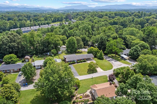 53 Grandview Rd, Asheville, NC 28806 - photo 36