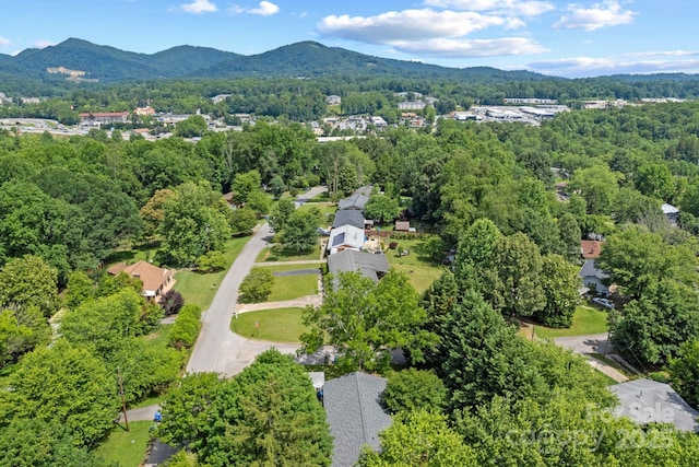 53 Grandview Rd, Asheville, NC 28806 - photo 37