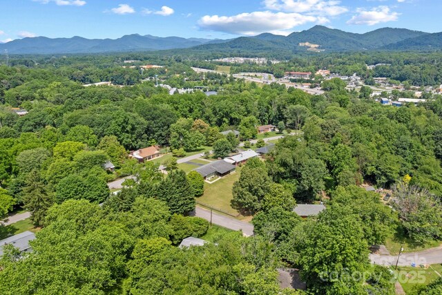 53 Grandview Rd, Asheville, NC 28806 - photo 38