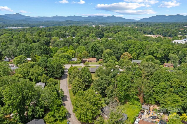 53 Grandview Rd, Asheville, NC 28806 - photo 39