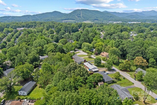 53 Grandview Rd, Asheville, NC 28806 - photo 40