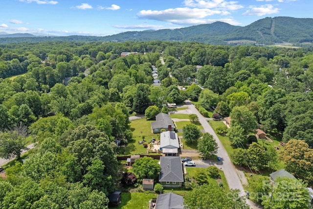 53 Grandview Rd, Asheville, NC 28806 - photo 41