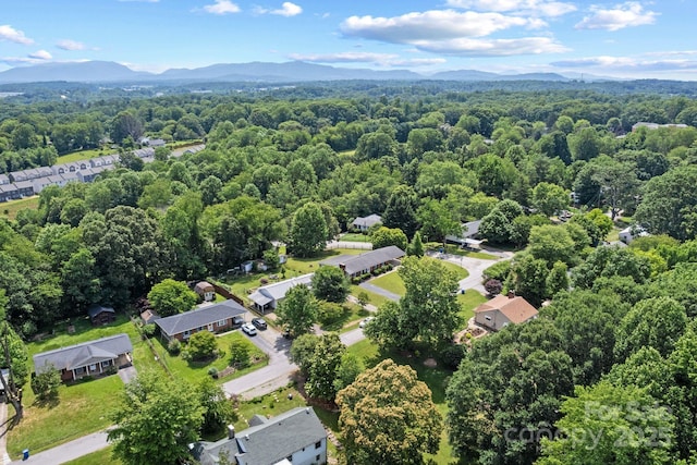 53 Grandview Rd, Asheville, NC 28806 - photo 43