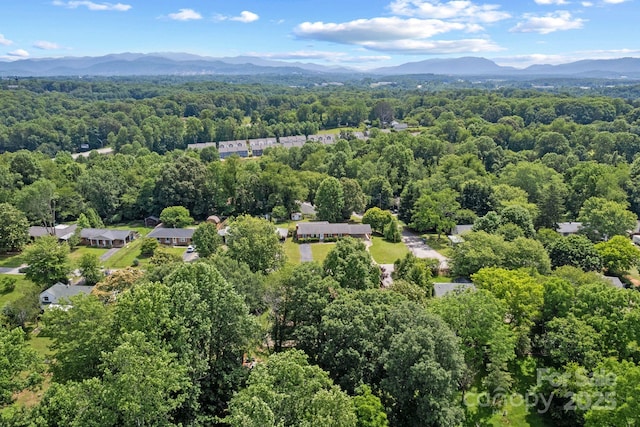 53 Grandview Rd, Asheville, NC 28806 - photo 44