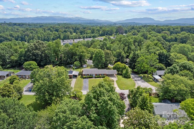 53 Grandview Rd, Asheville, NC 28806 - photo 45
