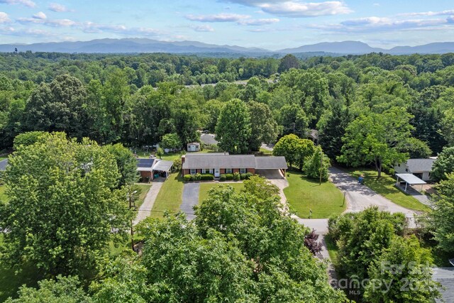 53 Grandview Rd, Asheville, NC 28806 - photo 46