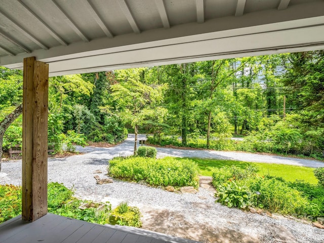 2525 Kanuga Rd, Hendersonville, NC 28739 - photo 8