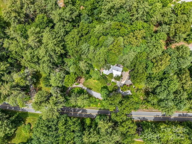 2525 Kanuga Rd, Hendersonville, NC 28739 - photo 48