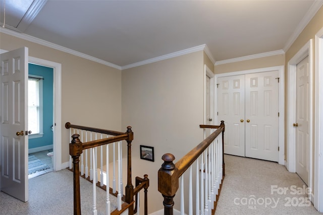 6511 Buggy Whip Ln, Waxhaw, NC 28173 - corridor featuring an upstairs landing, light carpet, ornamental molding, and attic access