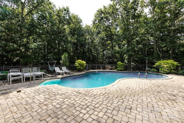 6511 Buggy Whip Ln, Waxhaw, NC 28173 - view of pool featuring a patio area, a fenced backyard, and view of scattered trees