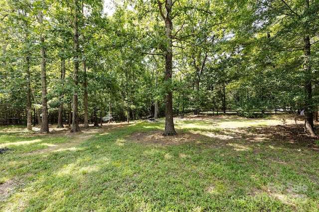 6511 Buggy Whip Ln, Waxhaw, NC 28173 - view of yard featuring a wooded view