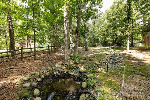 6511 Buggy Whip Ln, Waxhaw, NC 28173 - view of yard