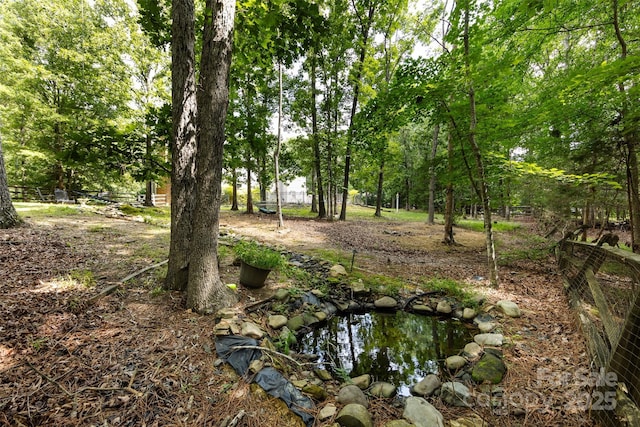 6511 Buggy Whip Ln, Waxhaw, NC 28173 - view of yard