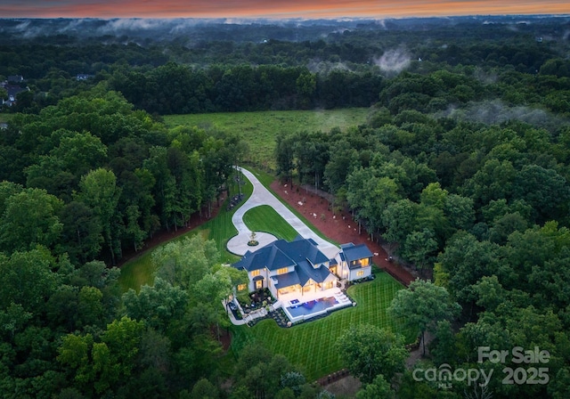 15037 June Washam Rd, Davidson, NC 28036 - view from above of property with a heavily wooded area