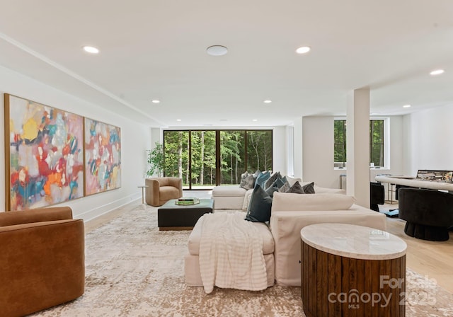 15037 June Washam Rd, Davidson, NC 28036 - living area with recessed lighting
