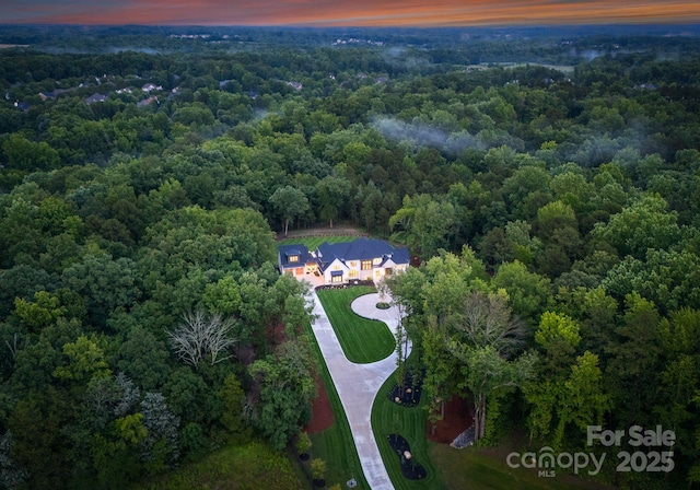 15037 June Washam Rd, Davidson, NC 28036 - aerial view at dusk of a forest view