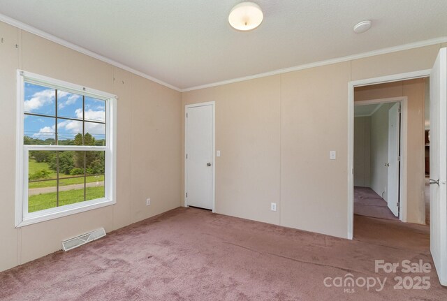 828 Carver St Unit 17-19, Shelby, NC 28152 - unfurnished room featuring carpet, ornamental molding, and a smoke detector