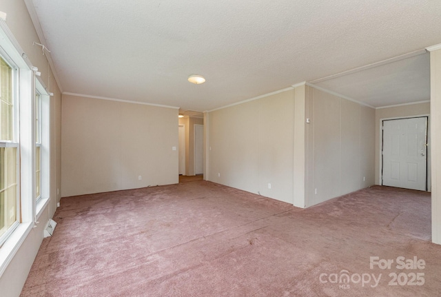 828 Carver St Unit 17-19, Shelby, NC 28152 - spare room featuring carpet floors, healthy amount of natural light, crown molding, and a textured ceiling