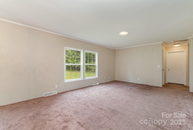 828 Carver St Unit 17-19, Shelby, NC 28152 - empty room with ornamental molding and carpet flooring
