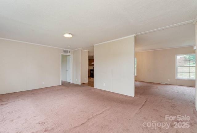 828 Carver St Unit 17-19, Shelby, NC 28152 - empty room featuring carpet and ornamental molding