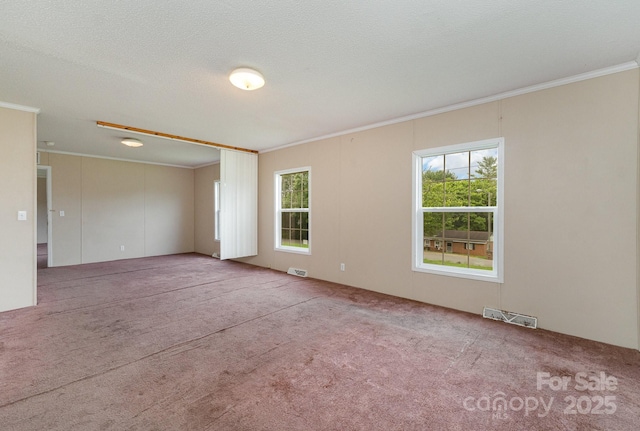 828 Carver St Unit 17-19, Shelby, NC 28152 - carpeted empty room featuring ornamental molding and healthy amount of natural light