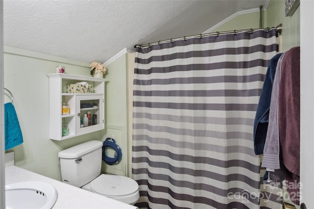 46 Westbrook Cir, Clyde, NC 28721 - full bathroom with lofted ceiling, toilet, a textured ceiling, vanity, and curtained shower