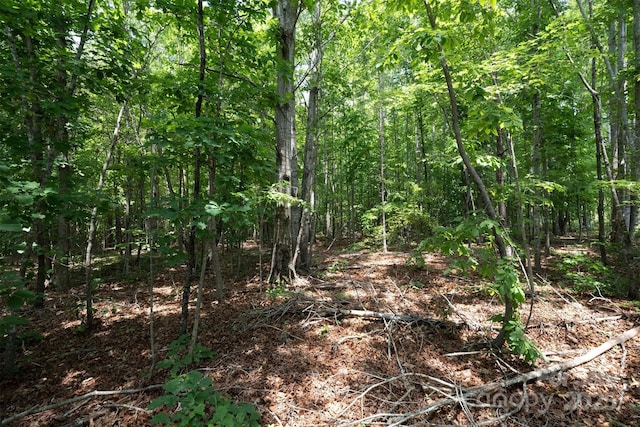 TBD Catawba Valley Blvd SE Unit 7-31, Hickory, NC 28601