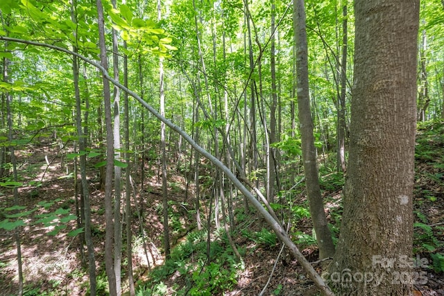 TBD Catawba Valley Blvd SE Unit 7-31, Hickory, NC 28601