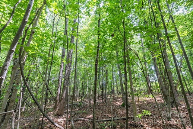 TBD Catawba Valley Blvd SE Unit 7-31, Hickory, NC 28601