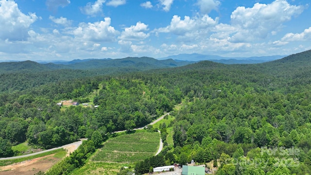 2967 Roby Martin Rd, Lenoir, NC 28645 - drone / aerial view of a heavily wooded area and mountains