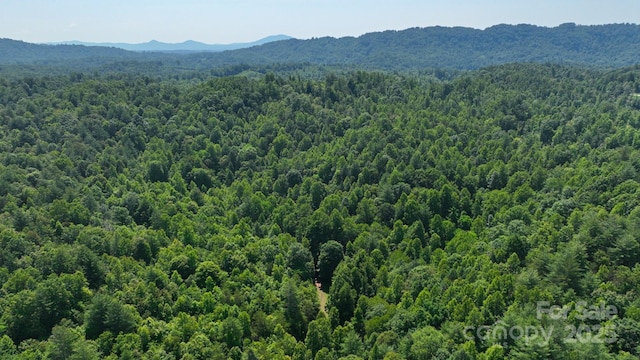 2967 Roby Martin Rd, Lenoir, NC 28645 - aerial view of a forest and a mountain backdrop
