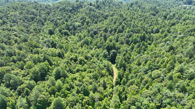 2967 Roby Martin Rd, Lenoir, NC 28645 - bird's eye view of a heavily wooded area