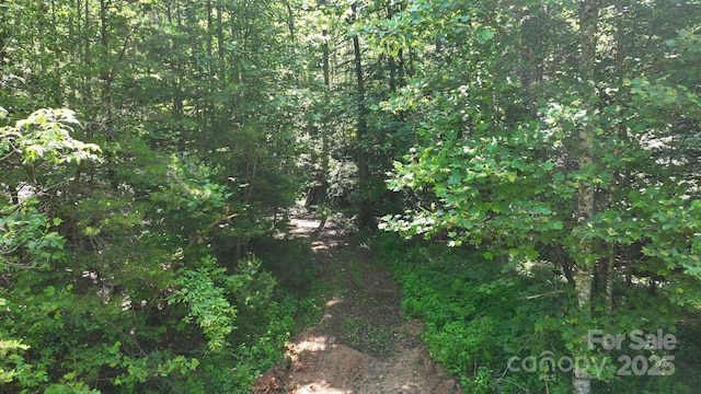 2967 Roby Martin Rd, Lenoir, NC 28645 - view of nature