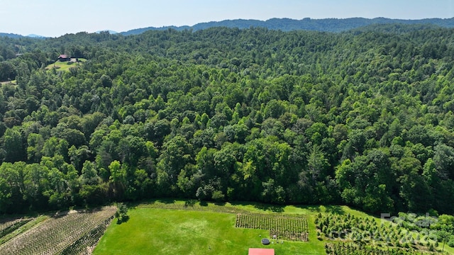 2967 Roby Martin Rd, Lenoir, NC 28645 - overview of rural landscape featuring a forest, a mountainous background, and farmland