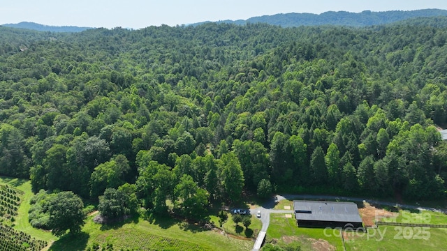 2967 Roby Martin Rd, Lenoir, NC 28645 - drone / aerial view of a forest and a mountainous background