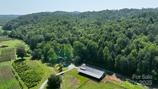 2967 Roby Martin Rd, Lenoir, NC 28645 - view of rural area featuring a forest