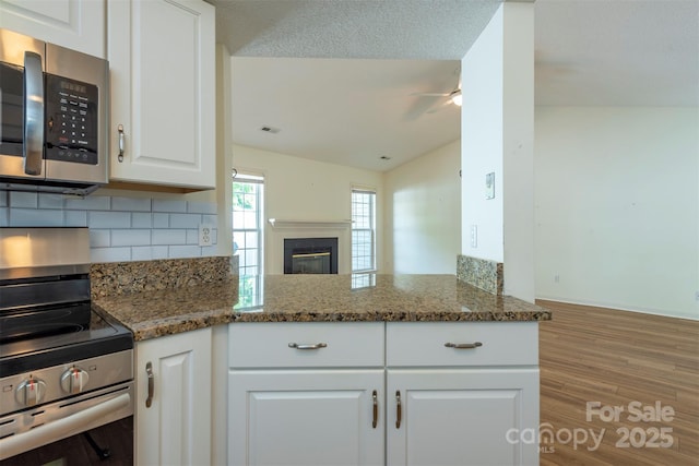 16 Red Barn Ln, Fletcher, NC 28732 - kitchen featuring appliances with stainless steel finishes, wood finished floors, lofted ceiling, a ceiling fan, and backsplash