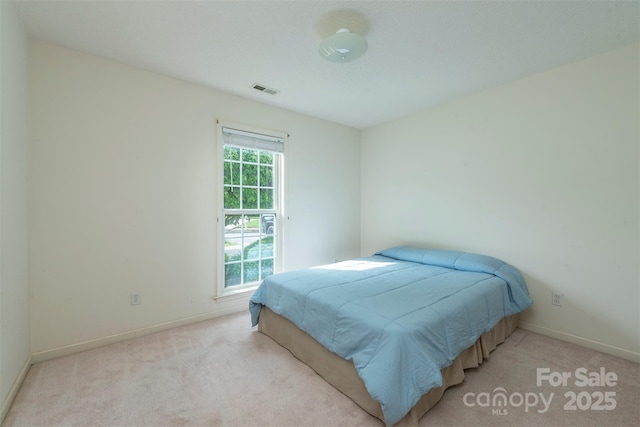 16 Red Barn Ln, Fletcher, NC 28732 - bedroom featuring light colored carpet