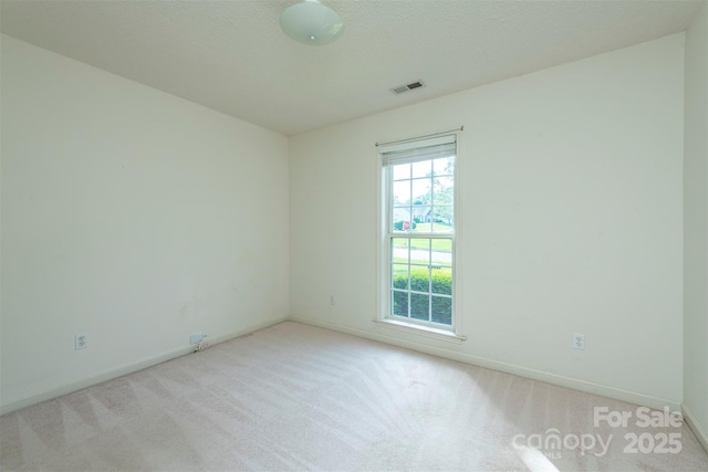 16 Red Barn Ln, Fletcher, NC 28732 - spare room featuring carpet floors
